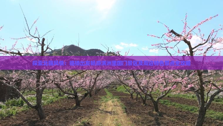 探索北疆风情：临猗出发畅游满洲里国门景区及周边特色景点全攻略
