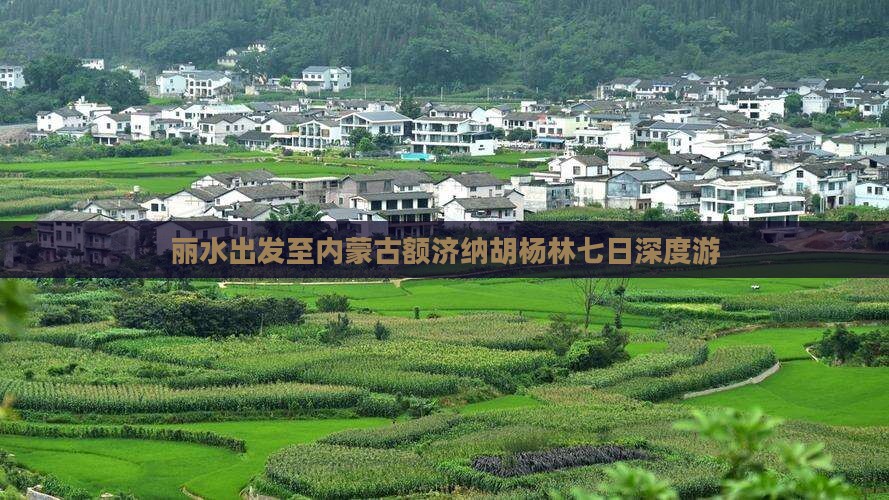 丽水出发至内蒙古额济纳胡杨林七日深度游