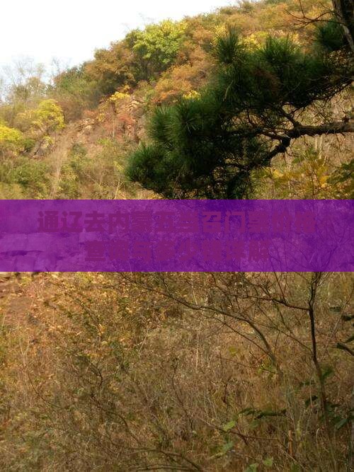 通辽去内蒙五当召门票价格查询与多少钱详解