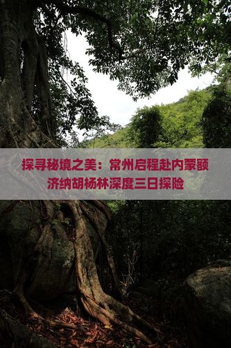 探寻秘境之美：常州启程赴内蒙额济纳胡杨林深度三日探险