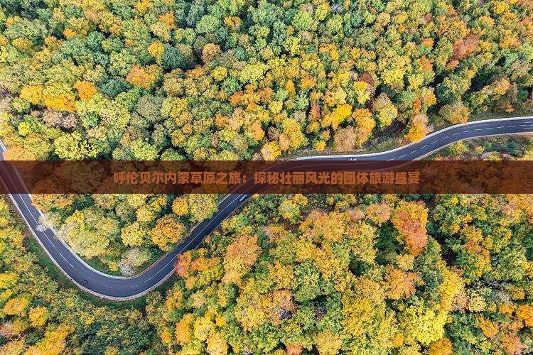 呼伦贝尔内蒙草原之旅：探秘壮丽风光的团体旅游盛宴