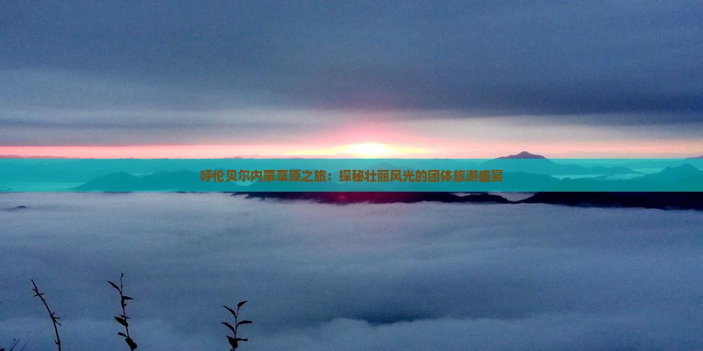呼伦贝尔内蒙草原之旅：探秘壮丽风光的团体旅游盛宴