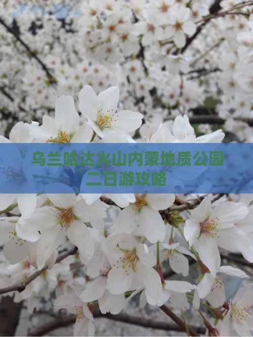 乌兰哈达火山内蒙地质公园二日游攻略