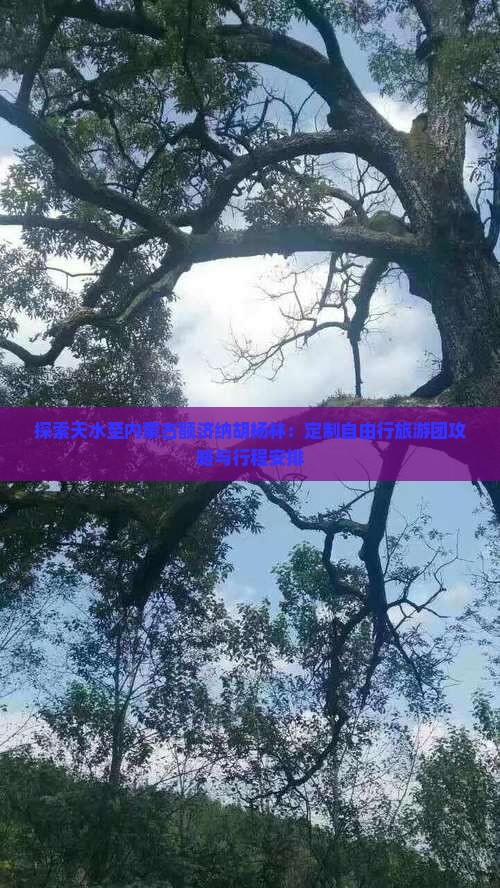 探索天水至内蒙古额济纳胡杨林：定制自由行旅游团攻略与行程安排