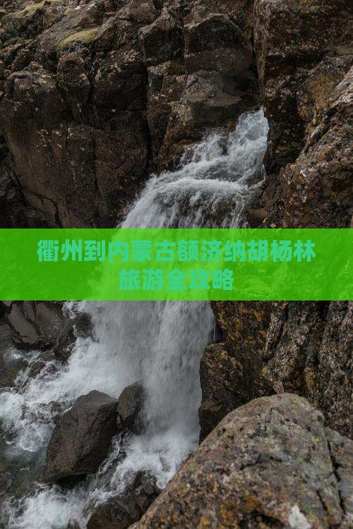 衢州到内蒙古额济纳胡杨林旅游全攻略