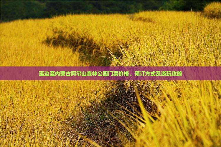 延边至内蒙古阿尔山森林公园门票价格、预订方式及游玩攻略
