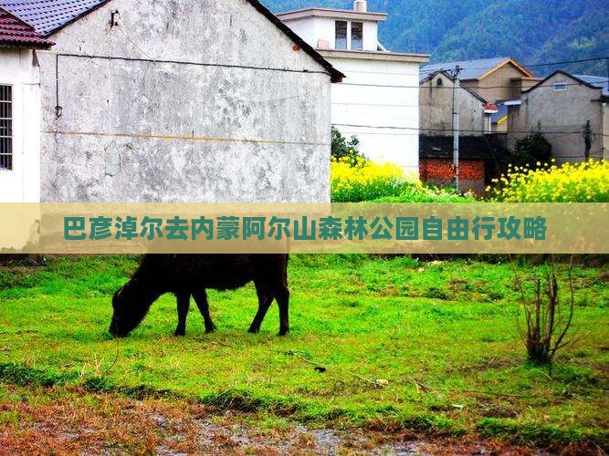 巴彦淖尔去内蒙阿尔山森林公园自由行攻略