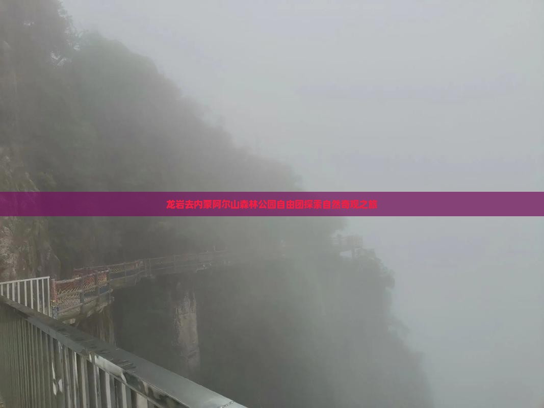 龙岩去内蒙阿尔山森林公园自由团探索自然奇观之旅