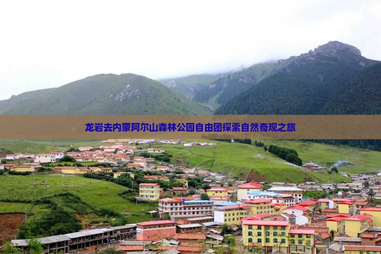 龙岩去内蒙阿尔山森林公园自由团探索自然奇观之旅