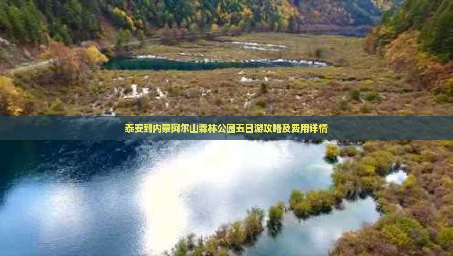 泰安到内蒙阿尔山森林公园五日游攻略及费用详情
