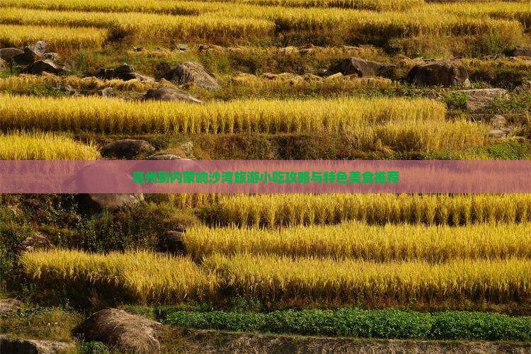 亳州到内蒙响沙湾旅游小吃攻略与特色美食推荐