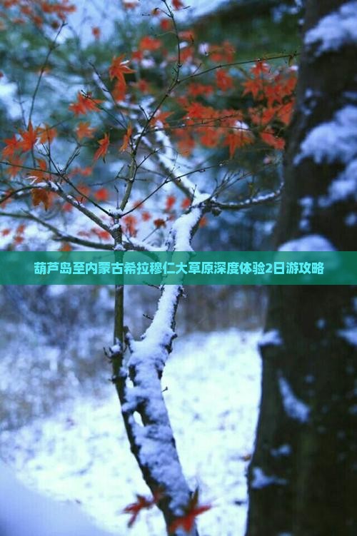 葫芦岛至内蒙古希拉穆仁大草原深度体验2日游攻略