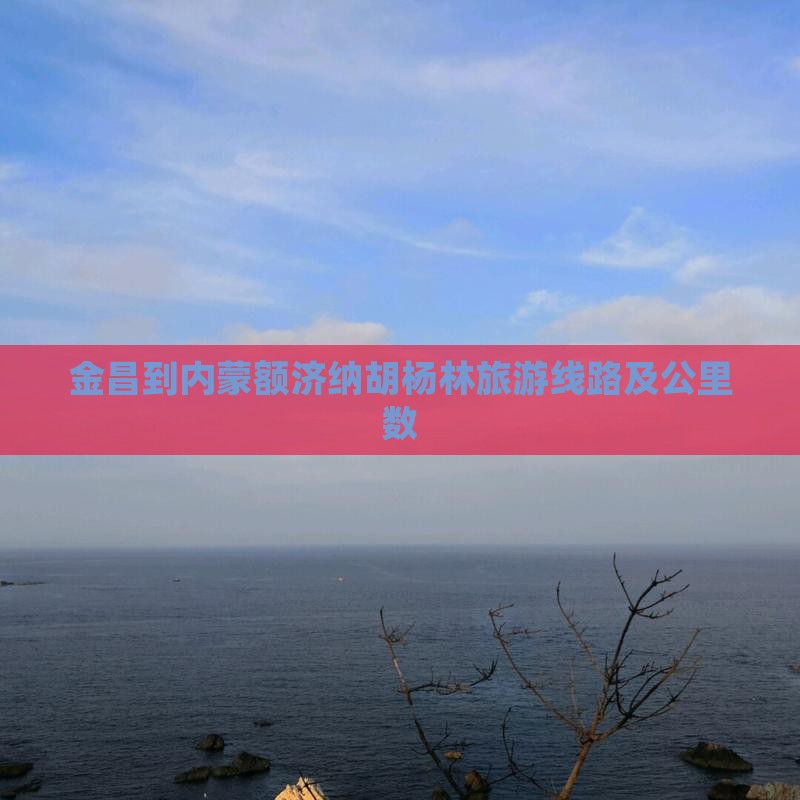 金昌到内蒙额济纳胡杨林旅游线路及公里数
