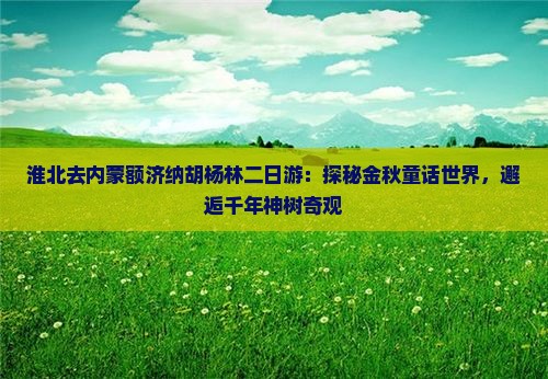 淮北去内蒙额济纳胡杨林二日游：探秘金秋童话世界，邂逅千年神树奇观