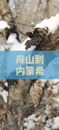 舟山到内蒙希拉穆仁草原团体旅游推荐
