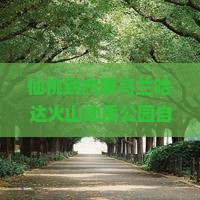 仙桃到内蒙乌兰哈达火山地质公园自由团一日游