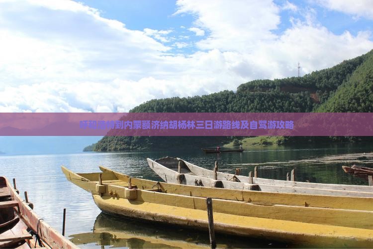 呼和浩特到内蒙额济纳胡杨林三日游路线及自驾游攻略