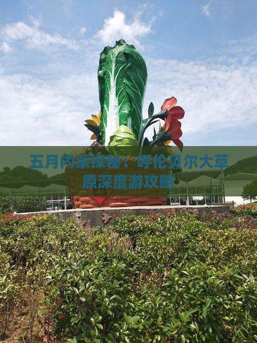 五月内蒙探秘：呼伦贝尔大草原深度游攻略