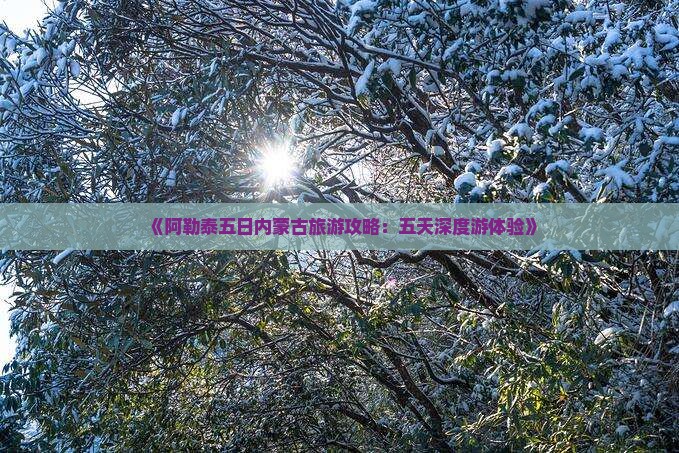 《阿勒泰五日内蒙古旅游攻略：五天深度游体验》
