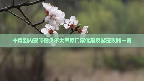 十月到内蒙呼伦贝尔大草原门票优惠及游玩攻略一览