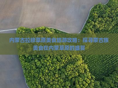 内蒙古拉穆草原美食旅游攻略：探寻蒙古族美食在内蒙草原的盛宴