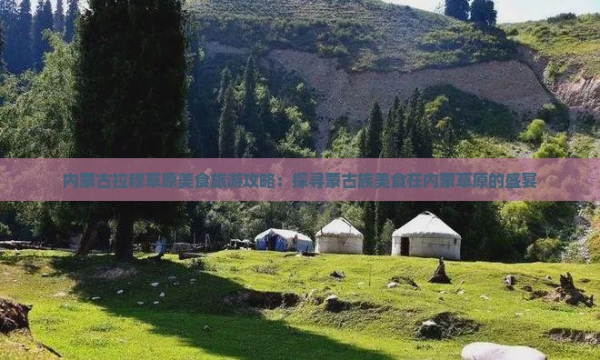内蒙古拉穆草原美食旅游攻略：探寻蒙古族美食在内蒙草原的盛宴