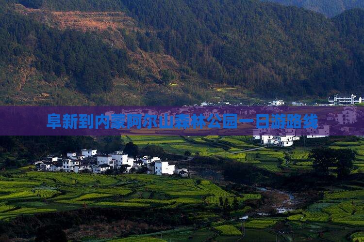阜新到内蒙阿尔山森林公园一日游路线