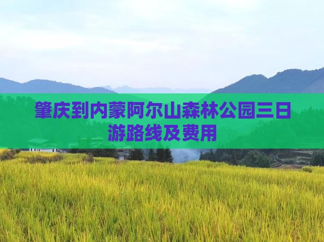 肇庆到内蒙阿尔山森林公园三日游路线及费用