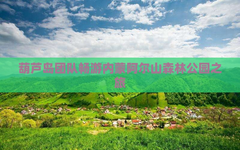 葫芦岛团队畅游内蒙阿尔山森林公园之旅