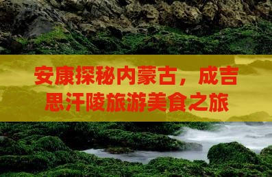 安康探秘内蒙古，成吉思汗陵旅游美食之旅