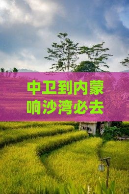 中卫到内蒙响沙湾必去地：探寻精华旅游线路