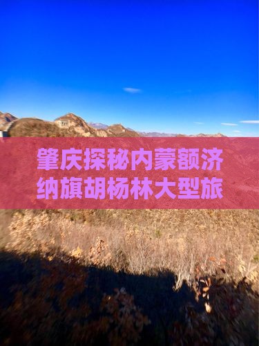 肇庆探秘内蒙额济纳旗胡杨林大型旅游团盛宴