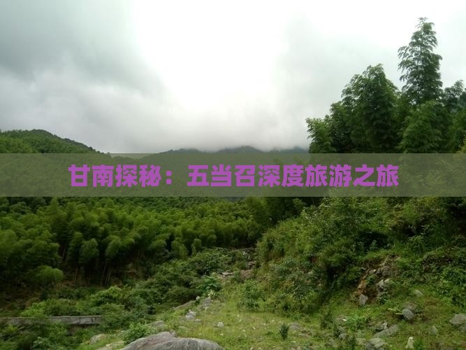 甘南探秘：五当召深度旅游之旅