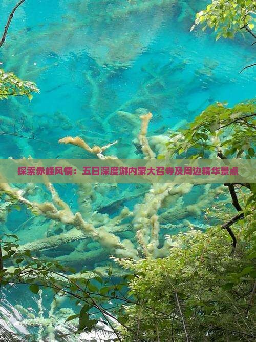 探索赤峰风情：五日深度游内蒙大召寺及周边精华景点