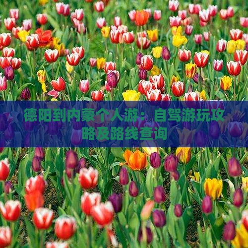德阳到内蒙个人游：自驾游玩攻略及路线查询