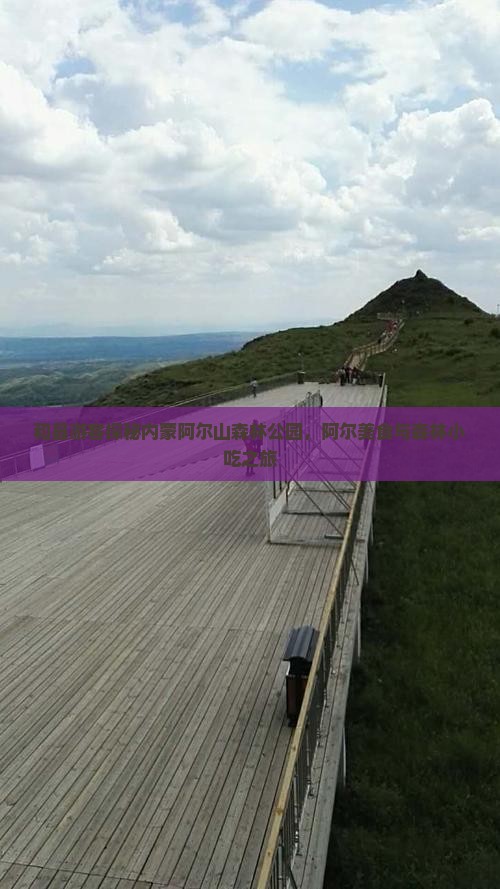 和县游客探秘内蒙阿尔山森林公园，阿尔美食与森林小吃之旅