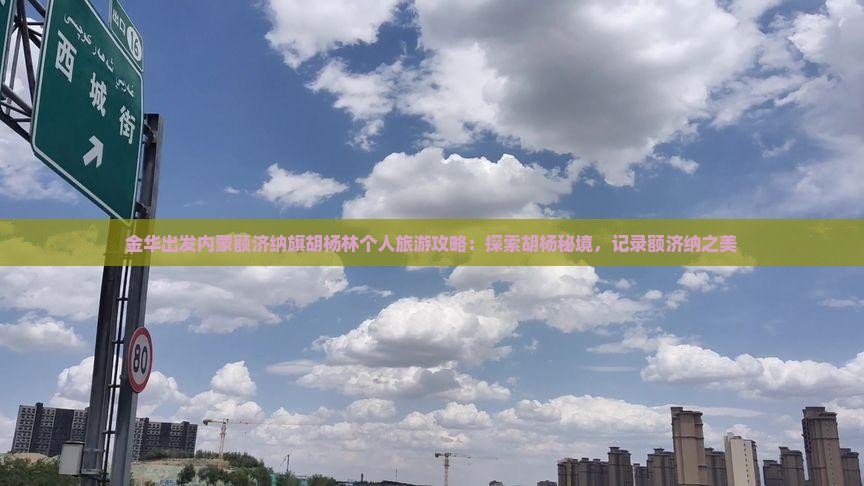 金华出发内蒙额济纳旗胡杨林个人旅游攻略：探索胡杨秘境，记录额济纳之美