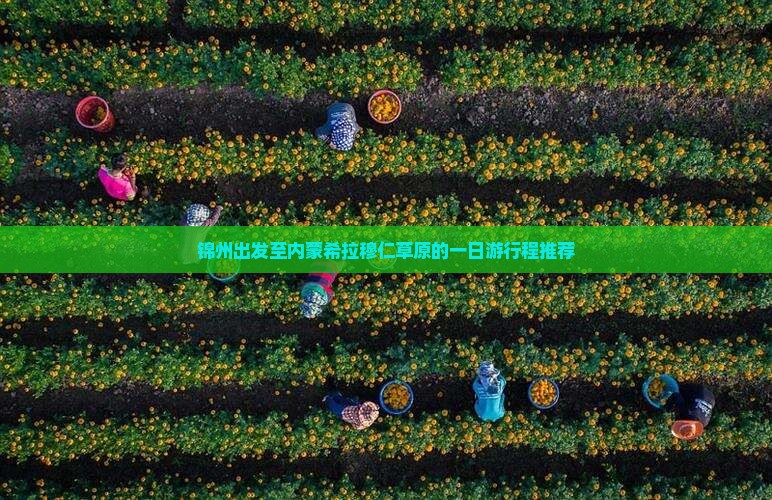 锦州出发至内蒙希拉穆仁草原的一日游行程推荐