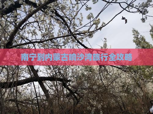 南宁到内蒙古响沙湾旅行全攻略