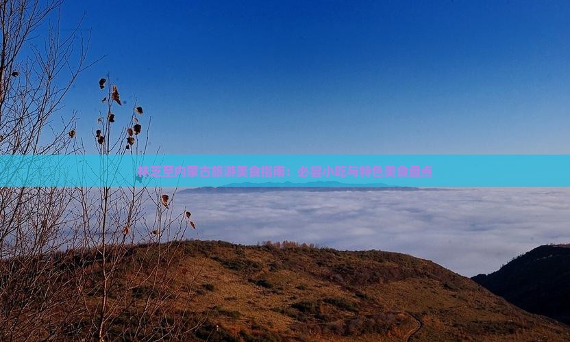 林芝至内蒙古旅游美食指南：必尝小吃与特色美食盘点