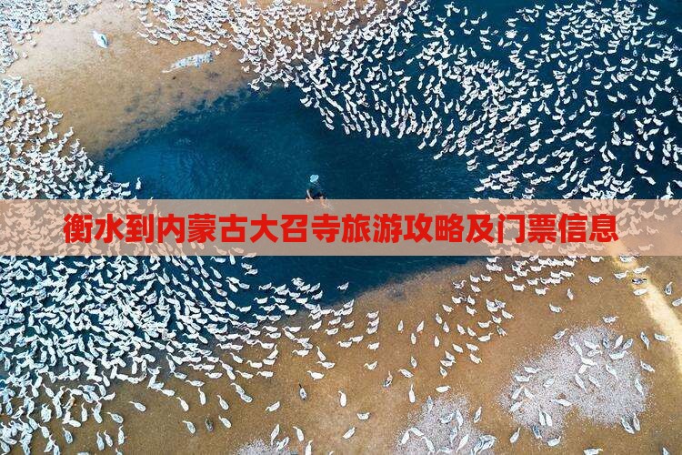 衡水到内蒙古大召寺旅游攻略及门票信息