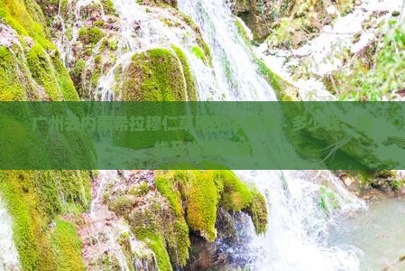 广州去内蒙希拉穆仁草原团体旅游：多少钱、路线及省钱攻略