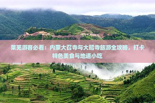 莱芜游客必看：内蒙大召寺与大昭寺旅游全攻略，打卡特色美食与地道小吃