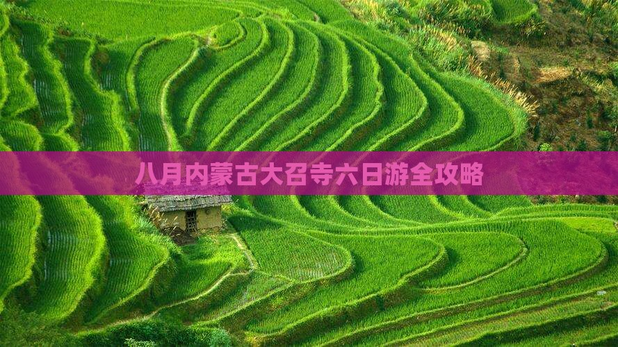 八月内蒙古大召寺六日游全攻略