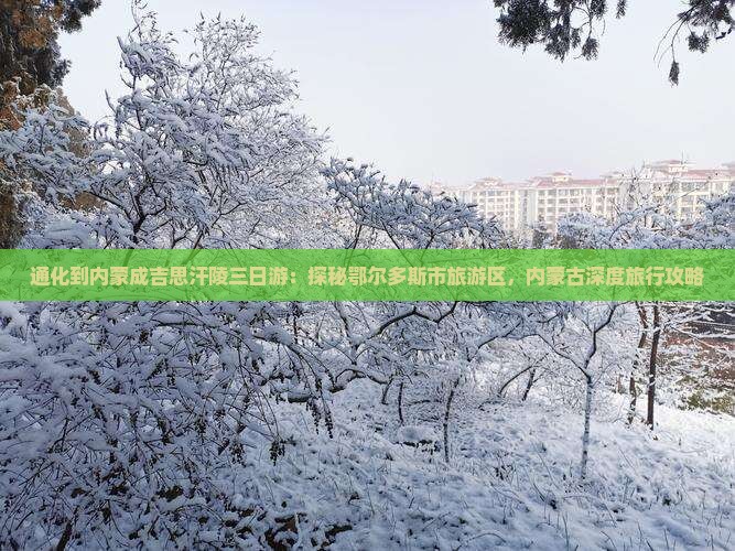 通化到内蒙成吉思汗陵三日游：探秘鄂尔多斯市旅游区，内蒙古深度旅行攻略