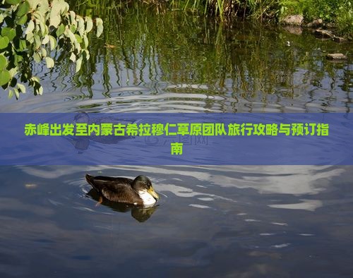 赤峰出发至内蒙古希拉穆仁草原团队旅行攻略与预订指南