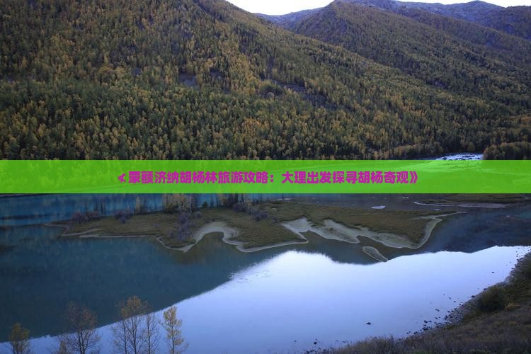 ≮蒙额济纳胡杨林旅游攻略：大理出发探寻胡杨奇观》