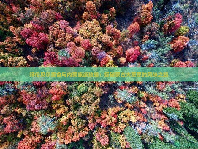 呼伦贝尔美食与内蒙旅游攻略：探秘蒙古大草原的风味之旅