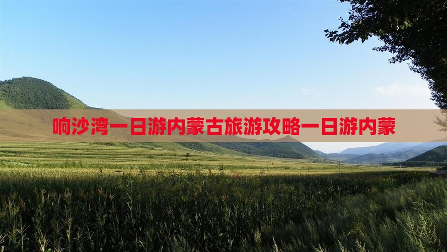 响沙湾一日游内蒙古旅游攻略一日游内蒙