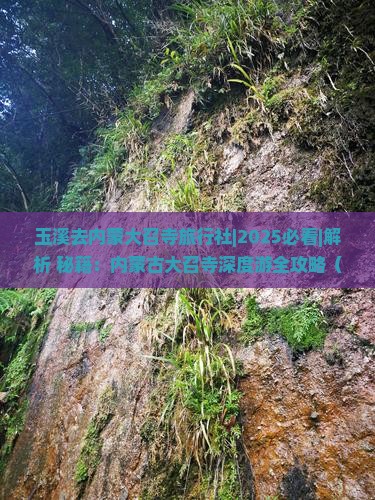 玉溪去内蒙大召寺旅行社